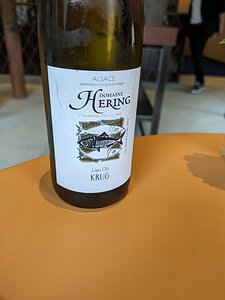 20240515_PXL104827238.MP_Pixel7a-JEB